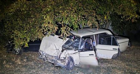 В селе под Запорожьем произошло смертельное ДТП &ndash; подробности