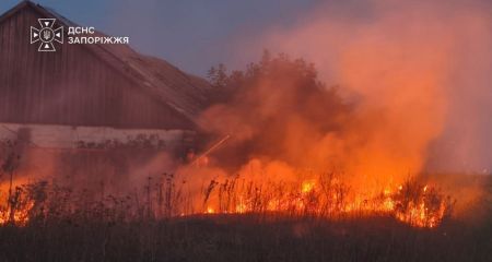 Понад 6 гектарів екосистем вигоріли у Запоріжжі та передмісті