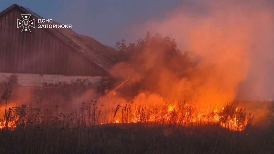 Более 6 гектаров экосистем выгорели в Запорожье и пригороде