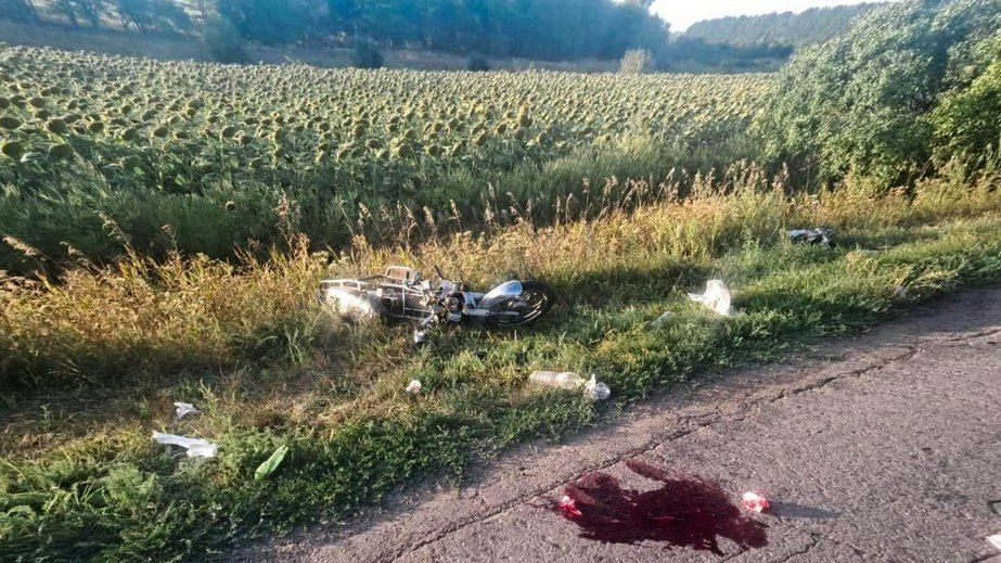 Мотоциклист погиб в аварии в Запорожском районе