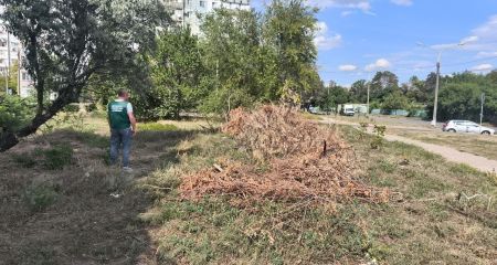 Свалку под домом обнаружили в Запорожье: что увидели экологи