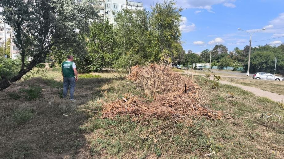 Звалище під будинком виявили в Запоріжжі: що побачили екологи
