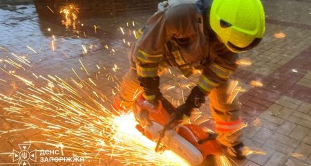 Собаку и двух кошек спасли чрезвычайники в Запорожье &ndash; детали