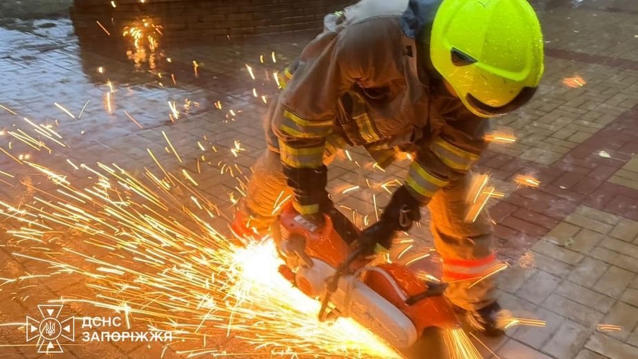 Собаку та двох котів врятували надзвичайники в Запоріжжі &ndash; деталі