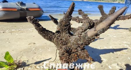 Запорожские археологи обнаружили в Днепре голову древнего оленя