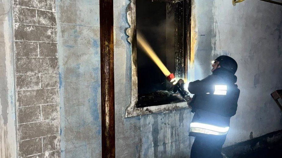 Під Запоріжжям горіли будівля та господарська споруда
