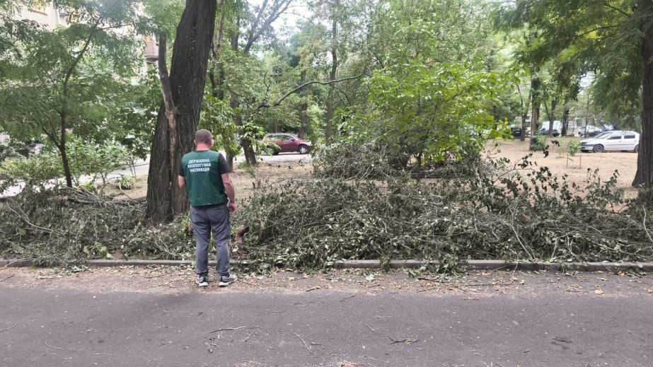 Міськраду зобов&rsquo;язали прибрати звалище гілля в Запоріжжі