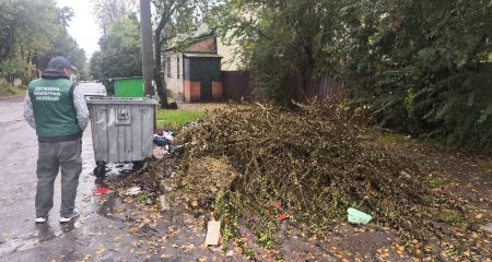 Звалище з мотлоху та гілля виявили в приватному секторі Запоріжжя