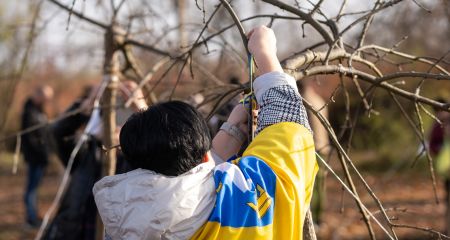 Пам'ять про Героїв: понад 200 нових дерев з'явилися на запорізькій Хортиці