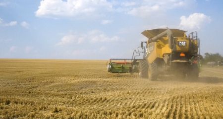 Хліб в цьому році буде: як аграрії на Запоріжжі ведуть жнива в умовах війни