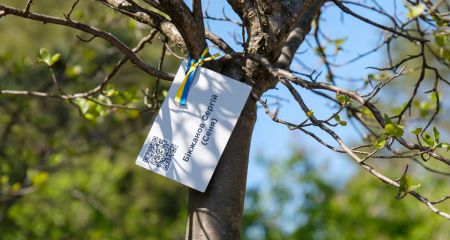 Жива пам'ять: на запорізькій Хортиці висадили ще 150 іменних дерев
