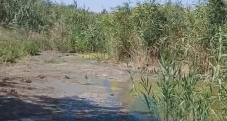 Екологічна катастрофа: на окупованому Запоріжжі зникла ще одна річка