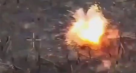 Українські дронарі знищили піхоту та транспорт росіян на Запоріжжі – кадри