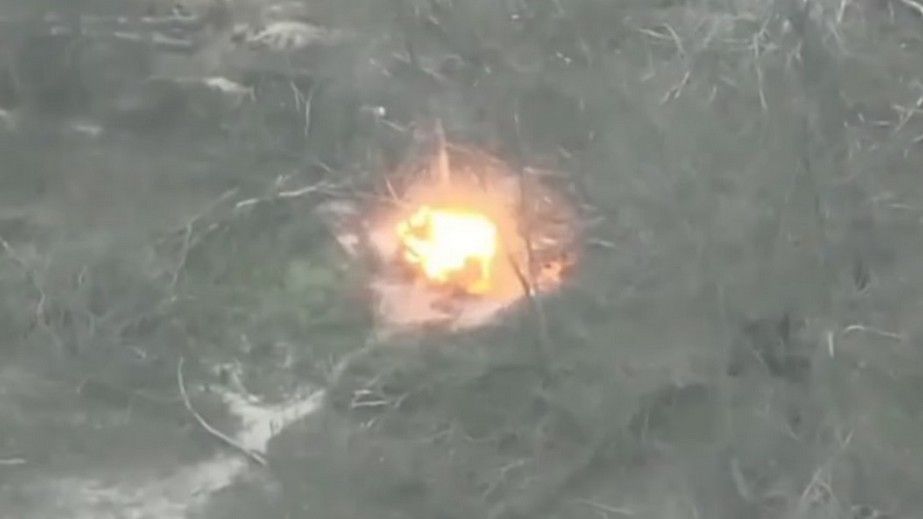 Запорожские пограничники уничтожили замаскированную технику и пехоту россиян &ndash; кадры