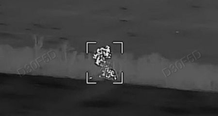 На Запоріжжі дронарі знищили російську САУ &ndash; кадри