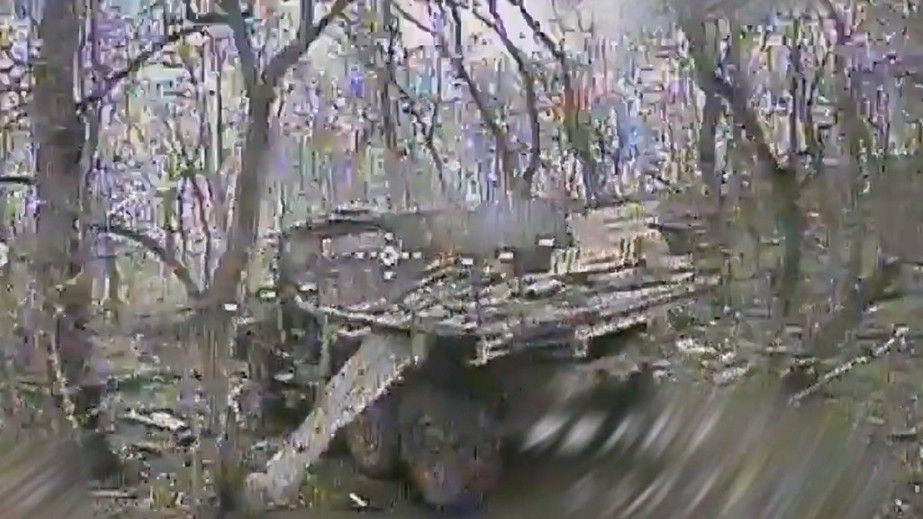 Вражеский грузовик с боеприпасами поразили дронщики на Запорожье &ndash; детали