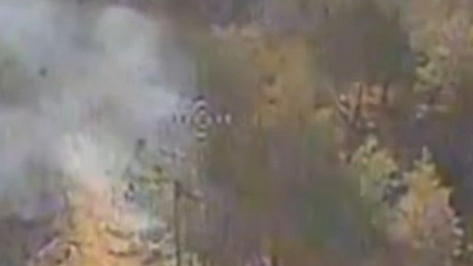 Дрони НГУ ліквідували окупантів на Запорізькому фронті &ndash; кадри