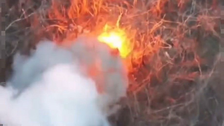 Запорожские пограничники уничтожили оборудование и позиции оккупантов &ndash; кадры