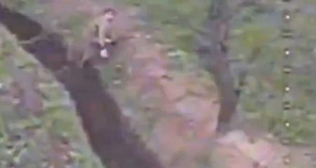 Нацгвардейцы уничтожают пехоту и технику россиян на Запорожье &ndash; кадры