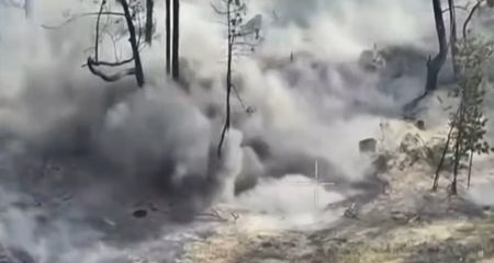 Запорізькі прикордонники знищили гармату та позиції окупантів