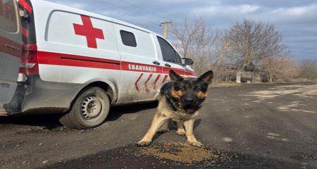 Небезпечна евакуація: волонтери показали виїзд із Кушугуму