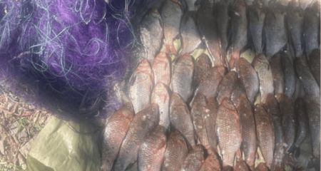 Браконьєра з понад 30 кг риби спіймали в затоці Дніпра у Запоріжжі