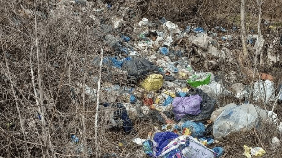Ще одну захаращену ділянку виявили в Запоріжжі &ndash; де саме