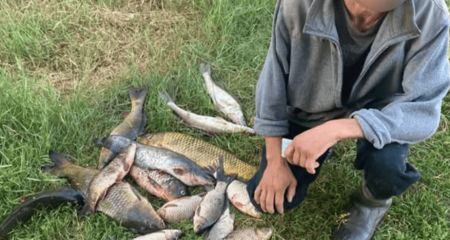 На Запоріжжі двоє рибалок завдали збитків на понад 90 тис. гривень