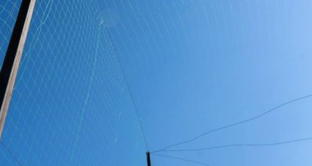 Мости накривають антидроновими сітками, &ndash; Запорізька ОВА
