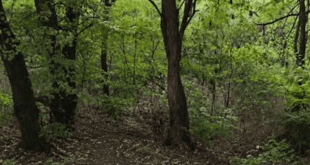 Захламленную балку привели в порядок в одном из районов Запорожья