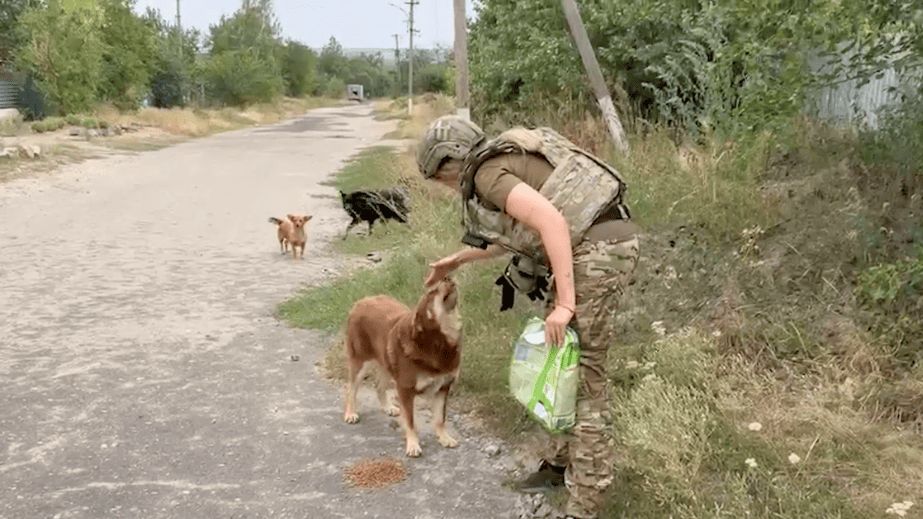 Годівниці для тварин встановили в прифронтовому селищі під Запоріжжям