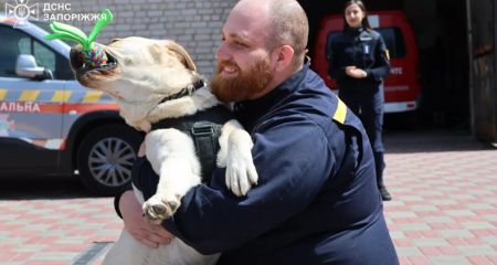 Рятувальникам у Запоріжжі провели терапевтичну сесію з собаками – як це було