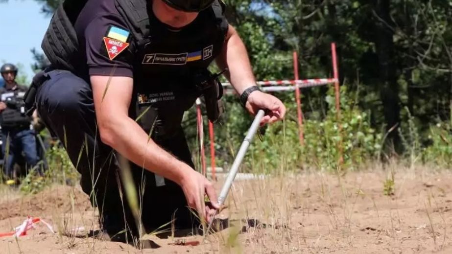 Четыре самодельных взрывчатки и артснаряд уничтожили саперы на Запорожье