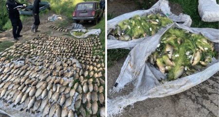 Запорожский рыбак нанес ущерб почти на 900 тысяч гривен