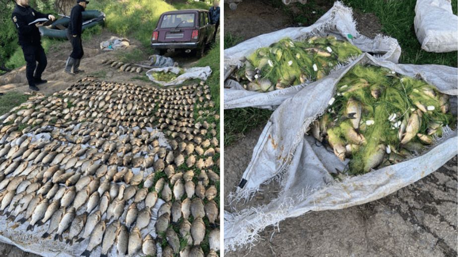Запорізькій рибалка завдав збитків на майже 900 тисяч гривень