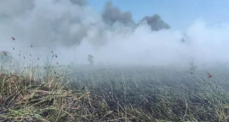 Рятувальники ліквідували 12 займань в екосистемах на Запоріжжі