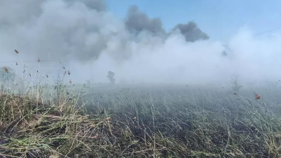 Спасатели ликвидировали 12 возгораний в экосистемах на Запорожье