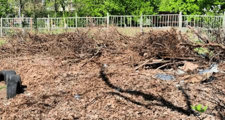 Величезну купу гілля та листя прибрали в одному з районів Запоріжжя
