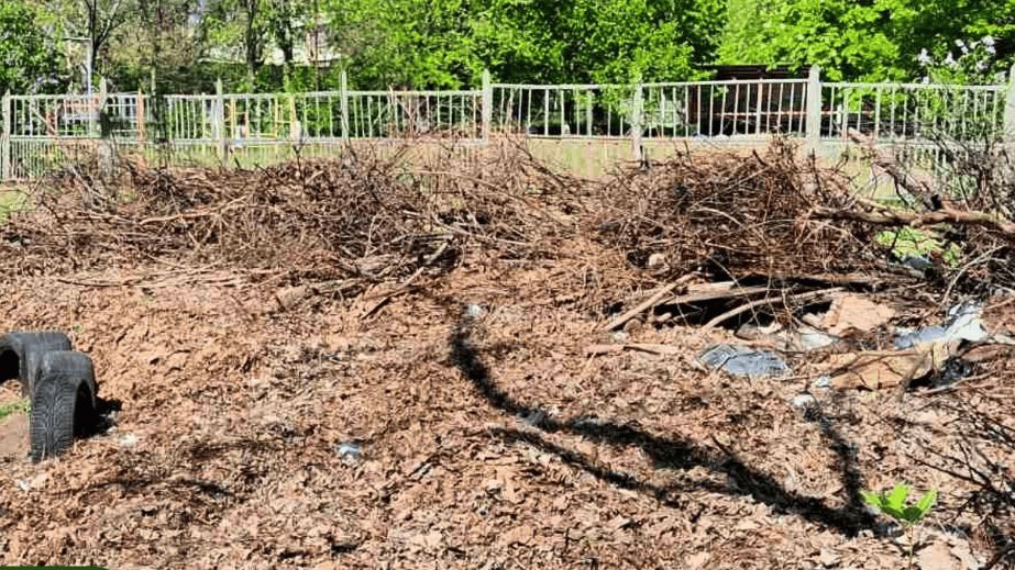 Величезну купу гілля та листя прибрали в одному з районів Запоріжжя