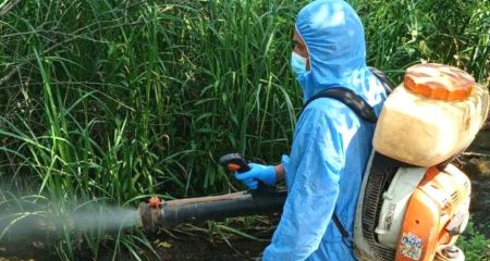 Возле водоемов в Запорожье начали травить комаров
