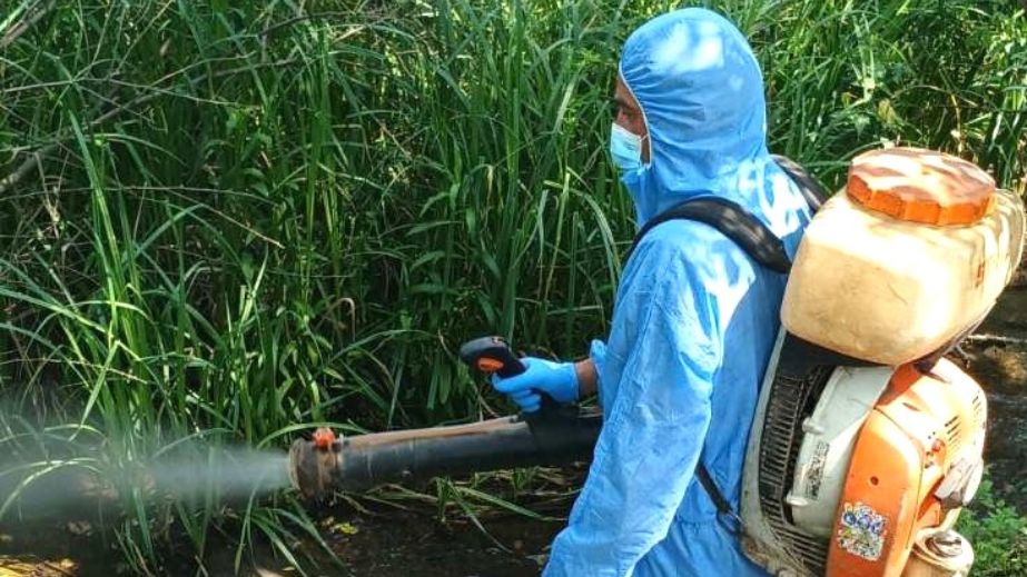 Возле водоемов в Запорожье начали травить комаров