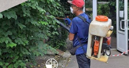 В ботсаду Запорожья борются с нашествием саранчи