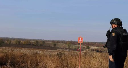 Міну та уламки боєприпасів знищили в населеному пункті на Запоріжжі
