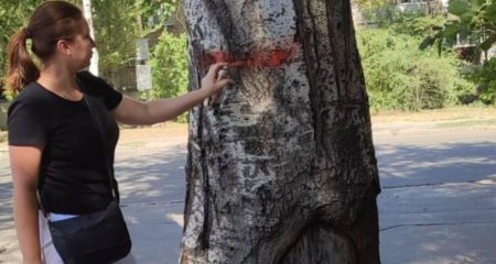 Часть зеленых насаждений вырубят в одном из районов Запорожья
