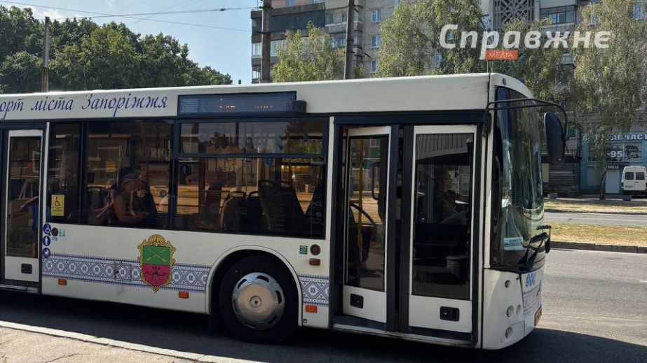 Роботу тролейбуса №14 в Запоріжжі обмежать через кронування дерев