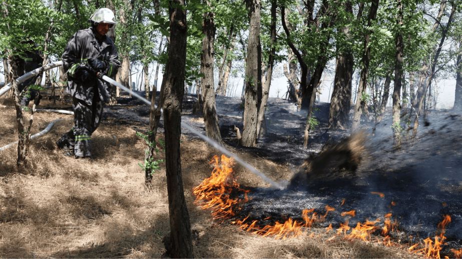 На Хортиці в Запоріжжі вигоріли 40 гектарів: пожежу локалізували
