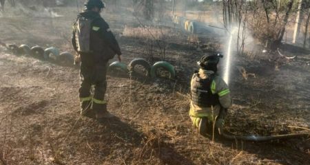 Понад сім гектарів трави вигоріли на Запоріжжі упродовж доби