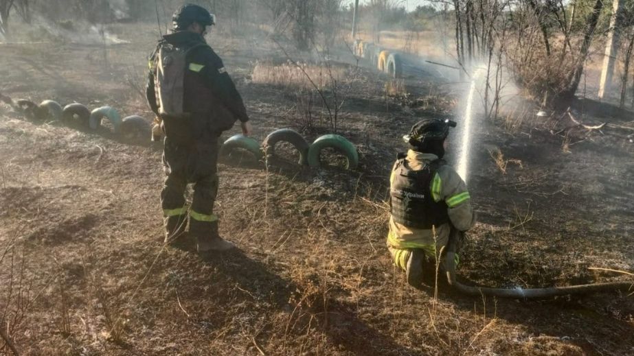 Понад сім гектарів трави вигоріли на Запоріжжі упродовж доби