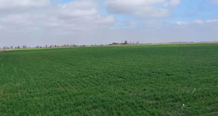 Громаді на Запоріжжі повернули землі вартістю понад 10 млн гривень