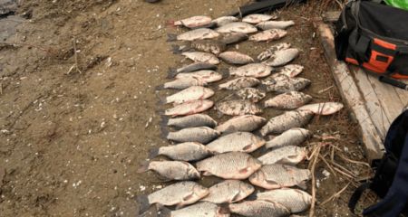 Багрение на Гребном канале: в Запорожье рыбпатруль споймал браконьера